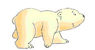Polar-Bear-Cropped