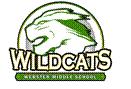 wildcat2